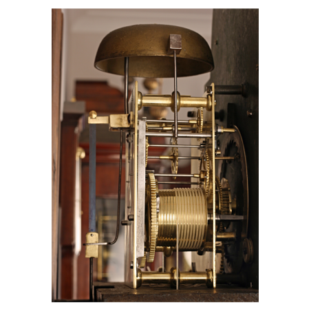 Devonshire longcase clock by Sanderson of Exeter