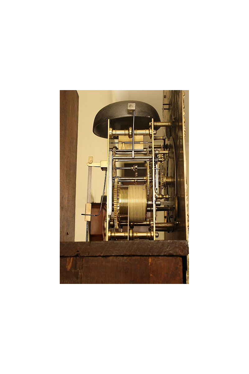 Antique Walnut Grandfather Clock by Stumbels of Totnes