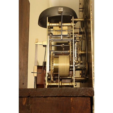 Antique Walnut Grandfather Clock by Stumbels of Totnes