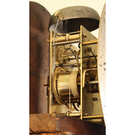 Colchester Antique Grandfather Clock by John Buffet